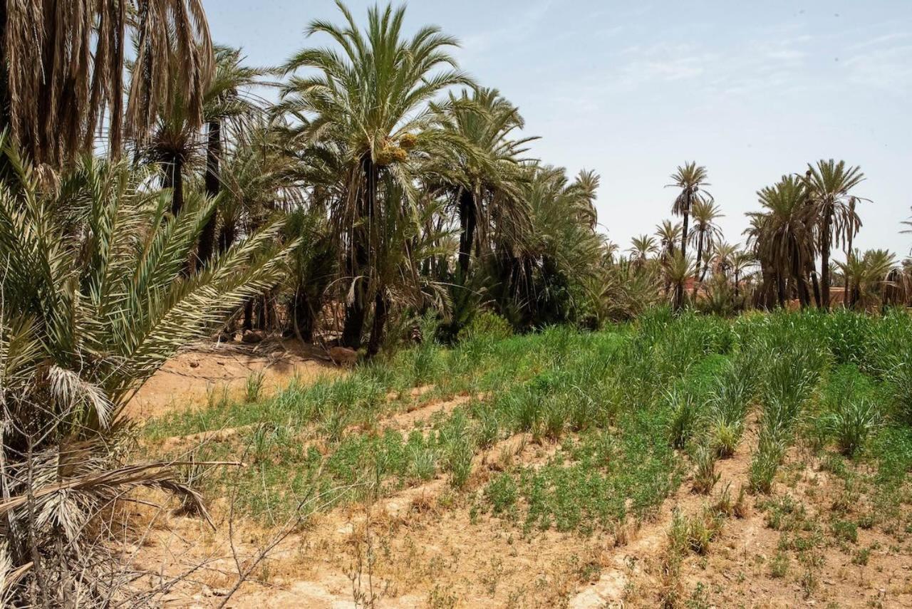 Maison Etoile Du Desert Aït Boukha Zewnętrze zdjęcie