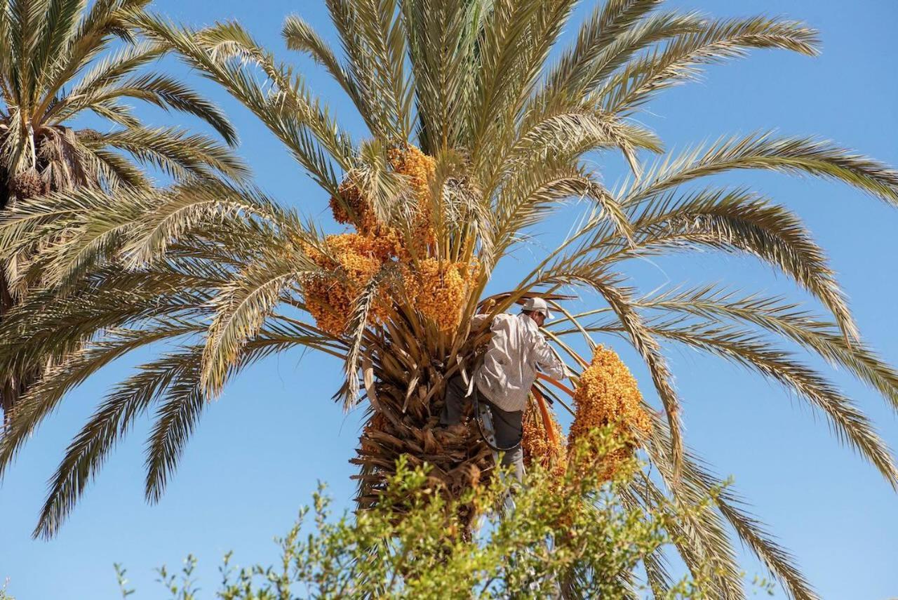 Maison Etoile Du Desert Aït Boukha Zewnętrze zdjęcie