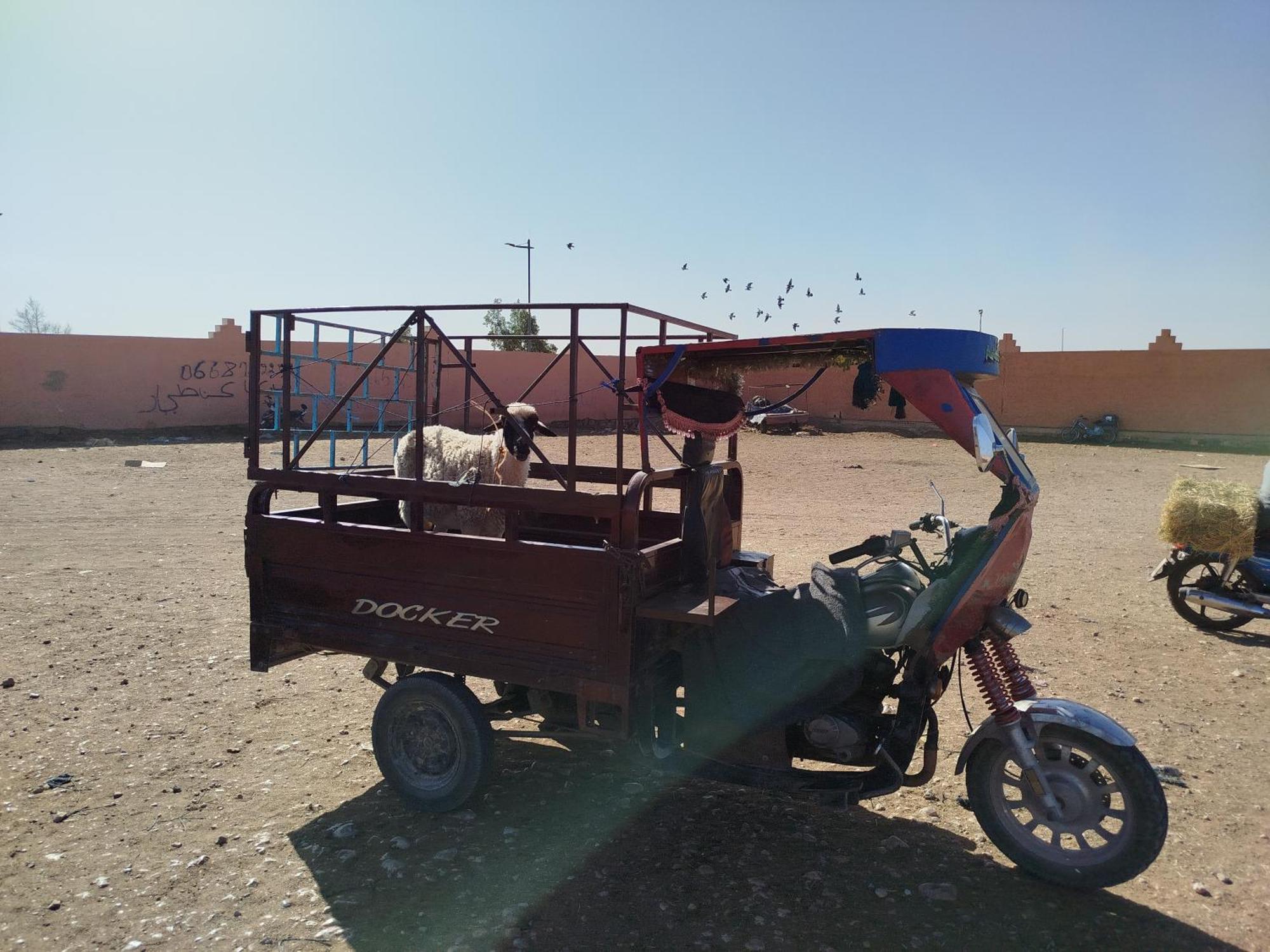 Maison Etoile Du Desert Aït Boukha Zewnętrze zdjęcie