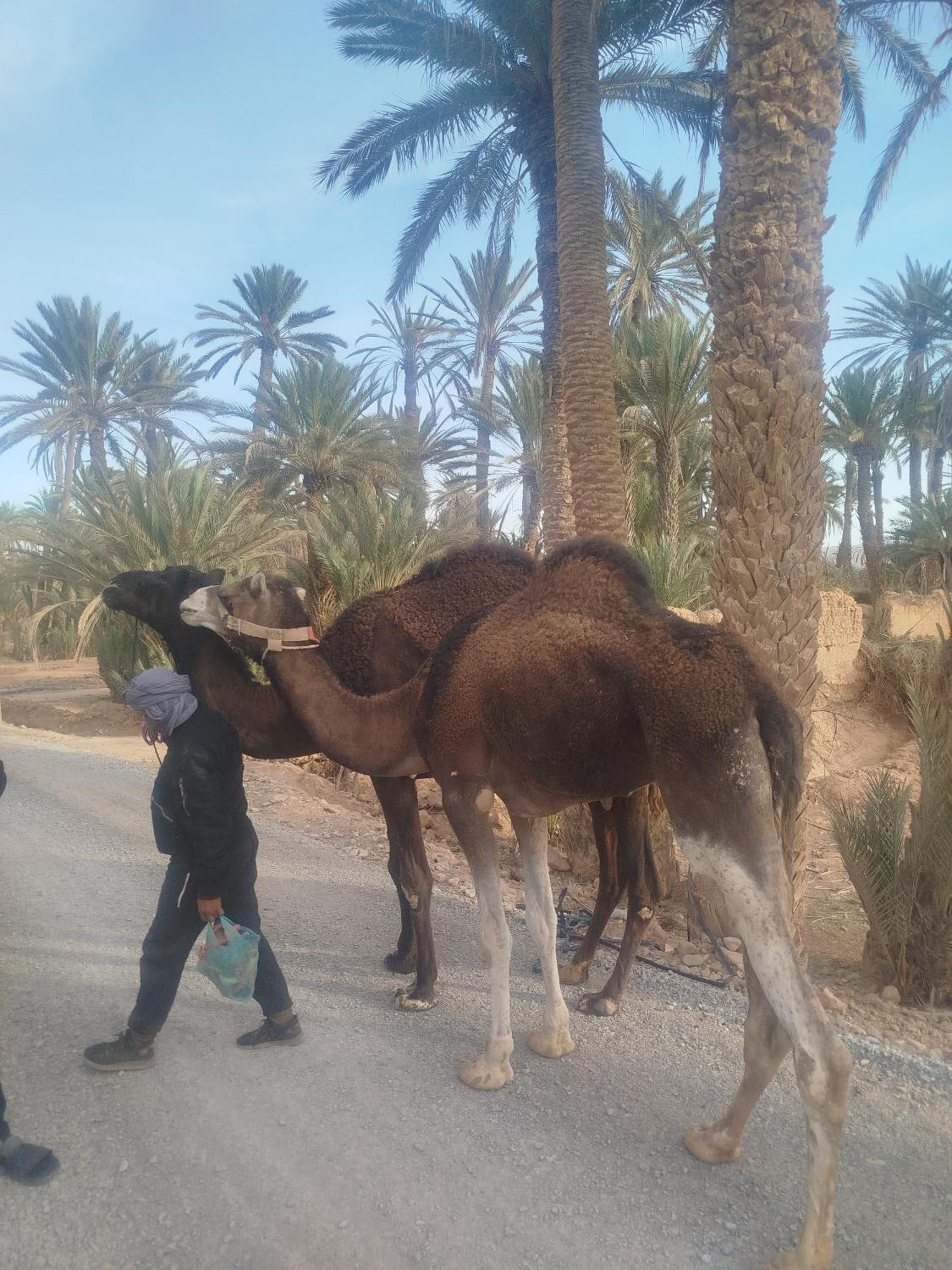 Maison Etoile Du Desert Aït Boukha Zewnętrze zdjęcie